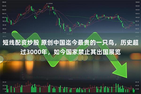 短线配资炒股 原创中国迄今最贵的一只鸟，历史超过3000年，如今国家禁止其出国展览